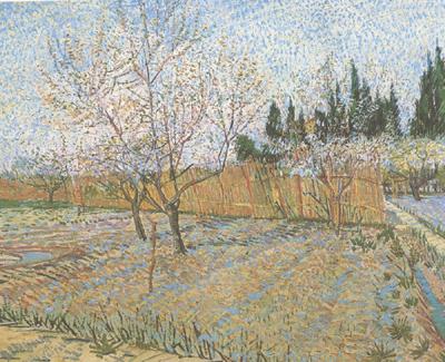 Vincent Van Gogh Orchard with Peach Trees in Blossom (nn04) oil painting picture